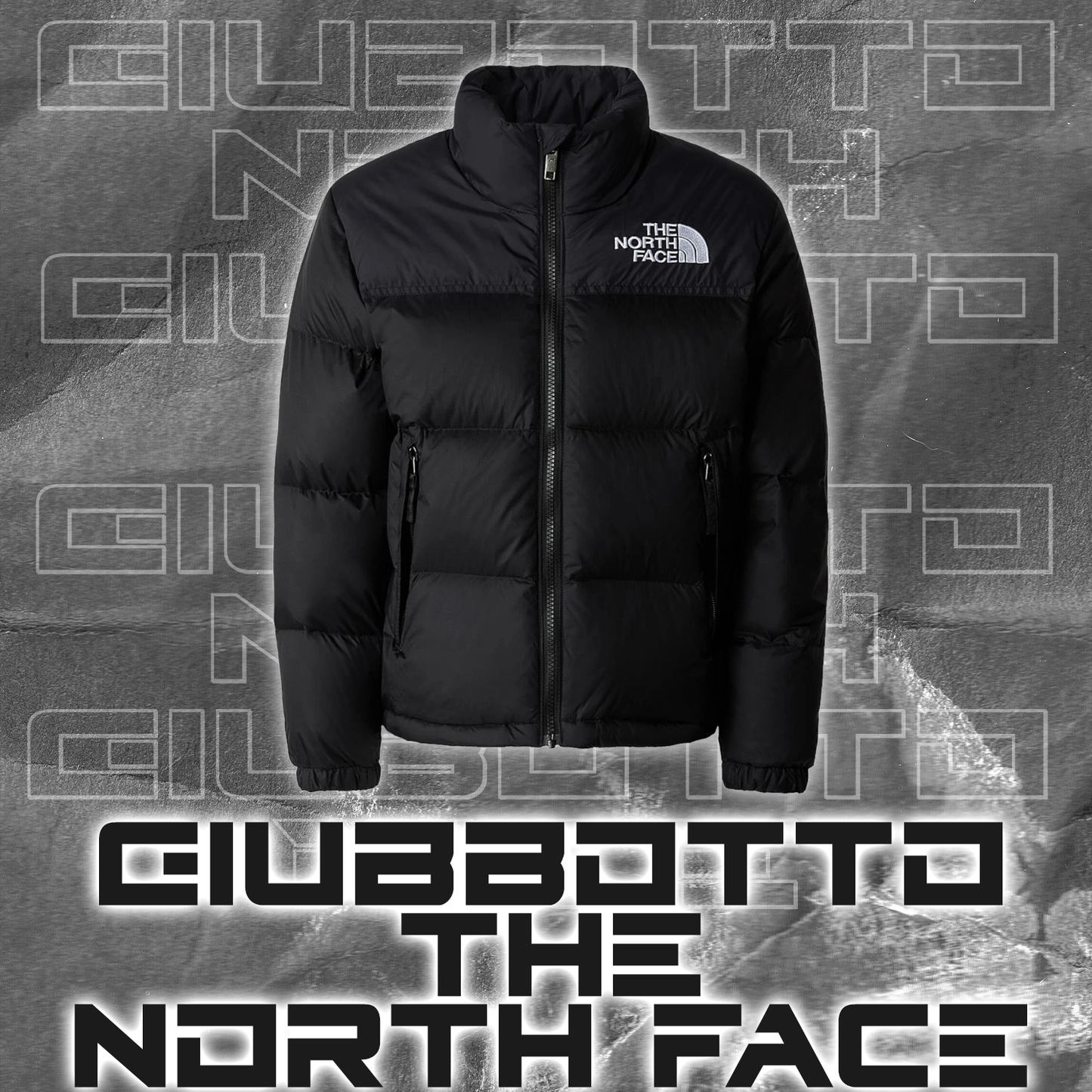 Giubbotto TNF