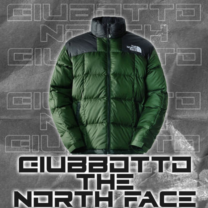 Giubbotto TNF