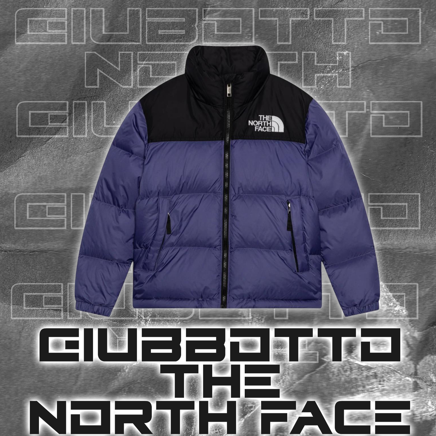 Giubbotto TNF