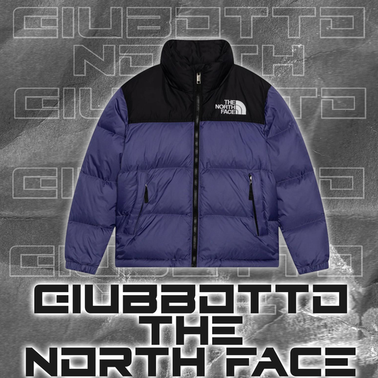 Giubbotto TNF